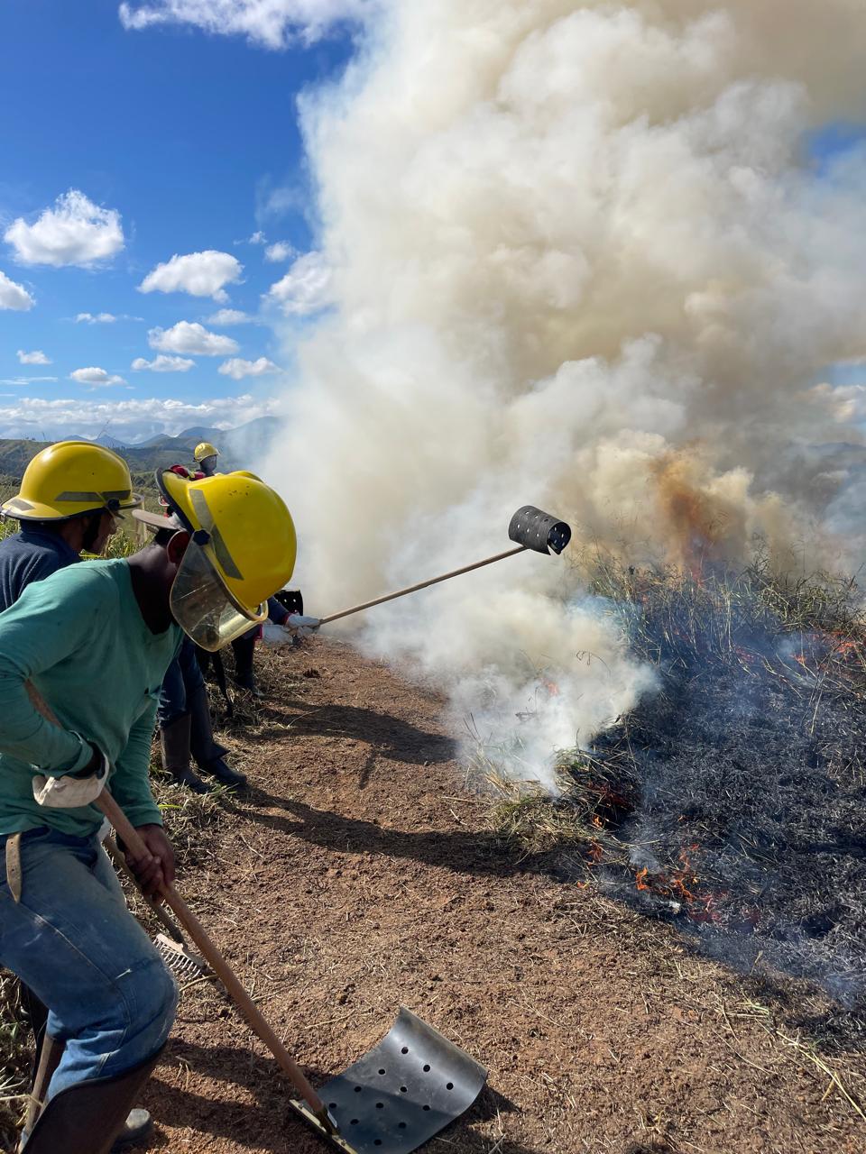 Brigada de incêndio florestal em ação de campo